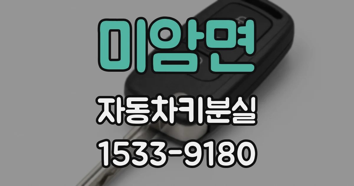 미암면 자동차키분실