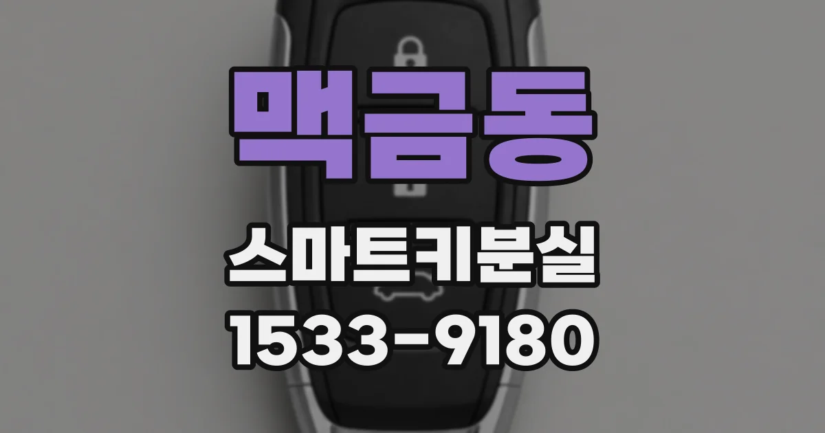 맥금동 스마트키분실