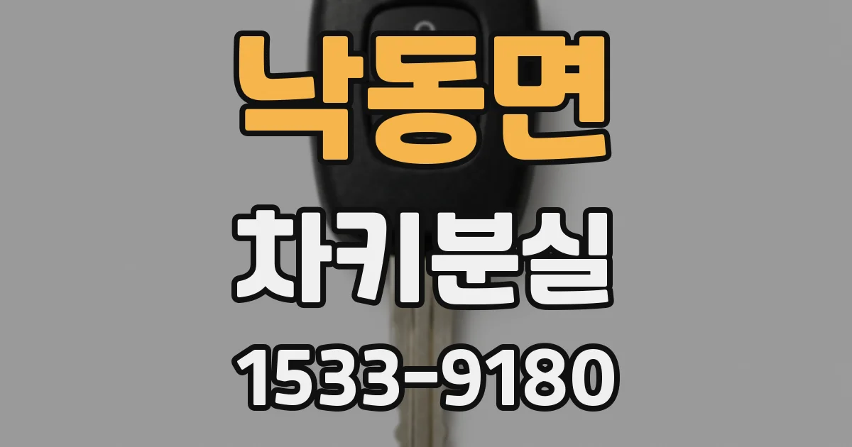 낙동면 차키분실