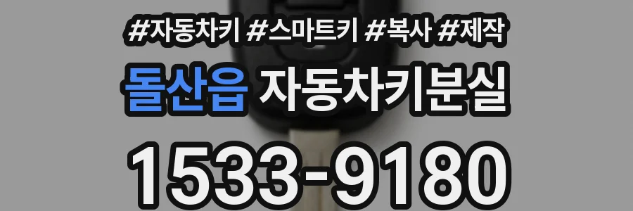 돌산읍 자동차키분실