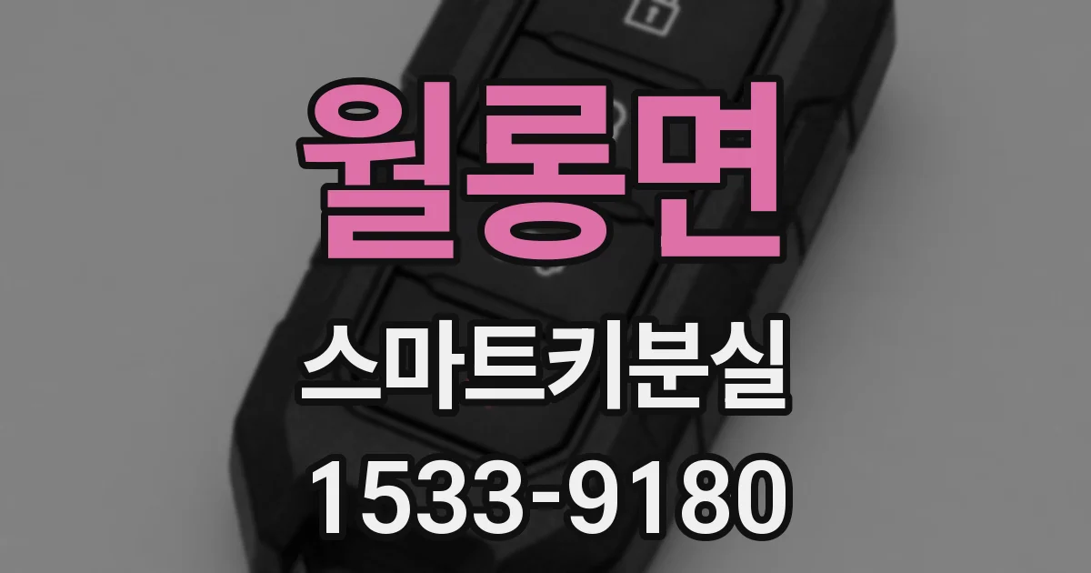 월롱면 스마트키분실