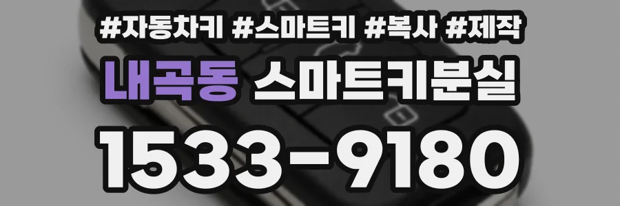 내곡동 스마트키분실