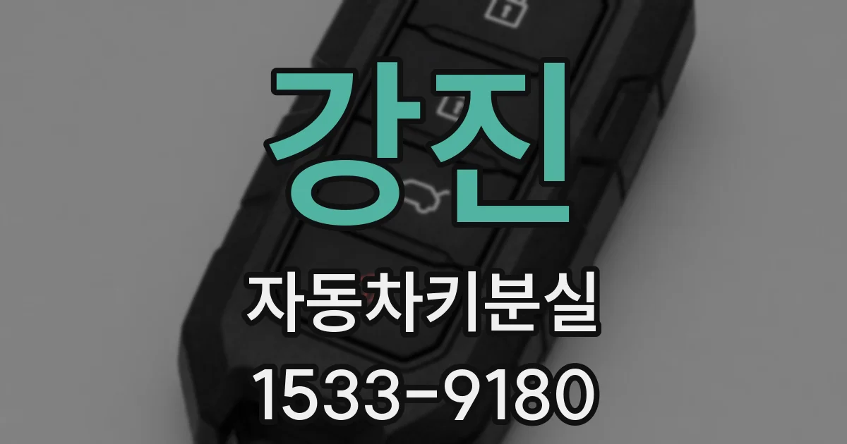 강진 자동차키분실
