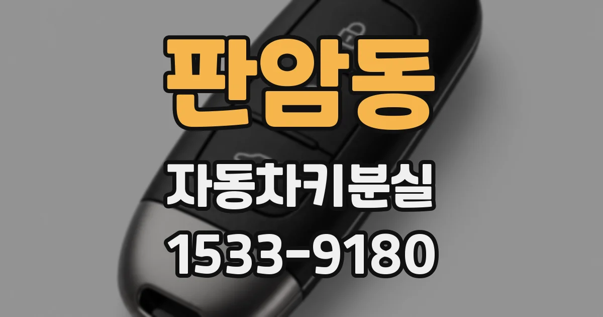 판암동 자동차키분실