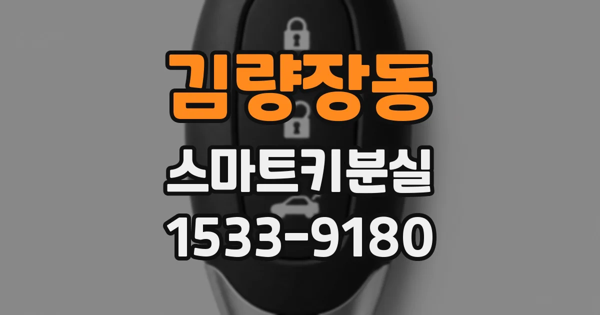 김량장동 스마트키분실