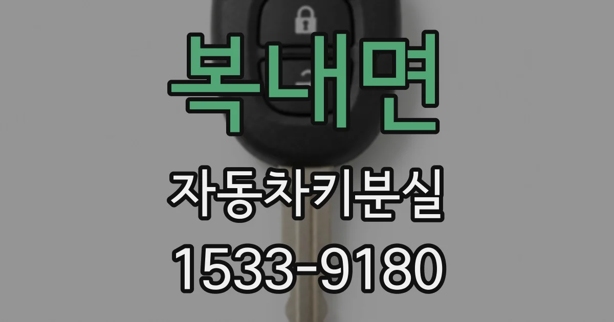 복내면 자동차키분실