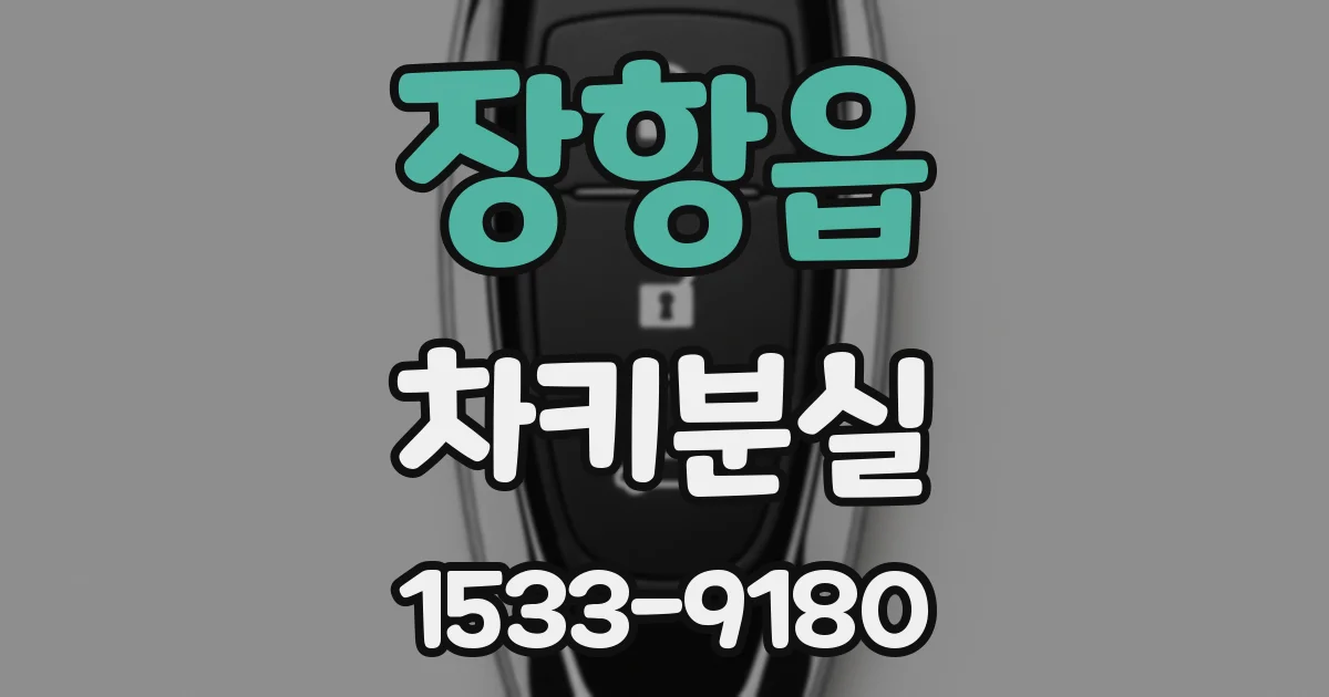 장항읍 차키분실