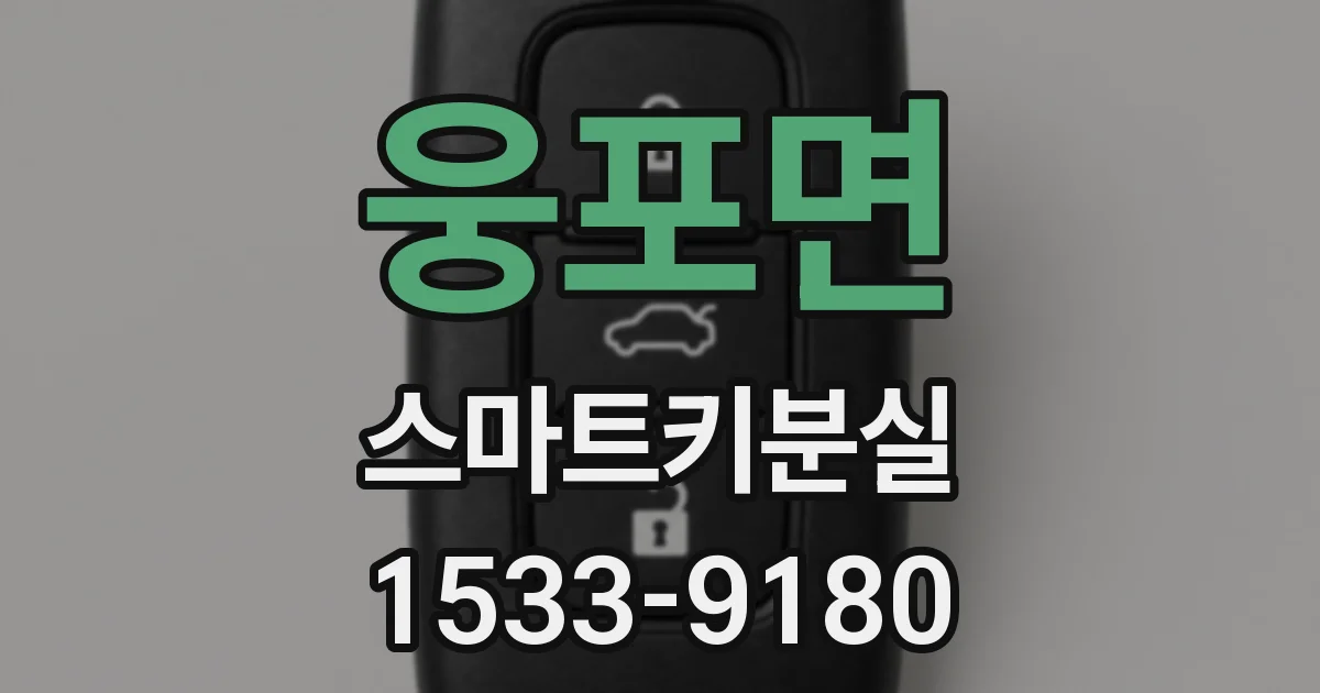 웅포면 스마트키분실