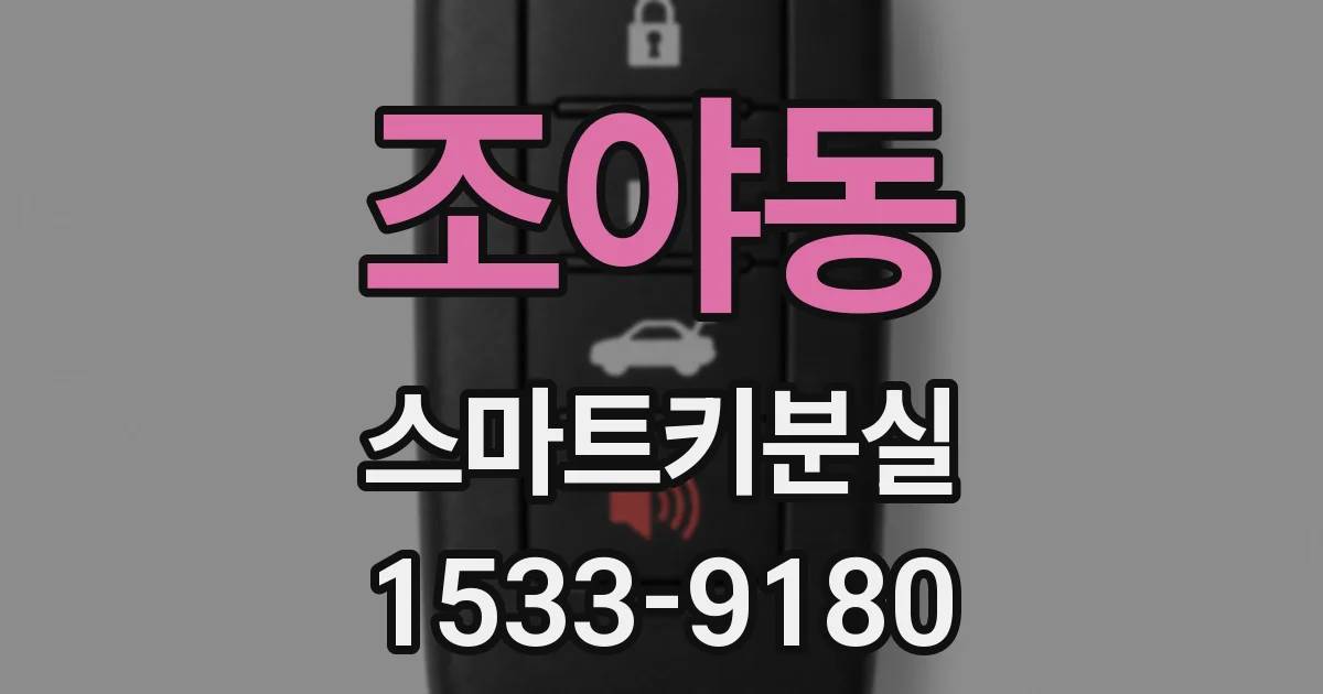 조야동 스마트키분실