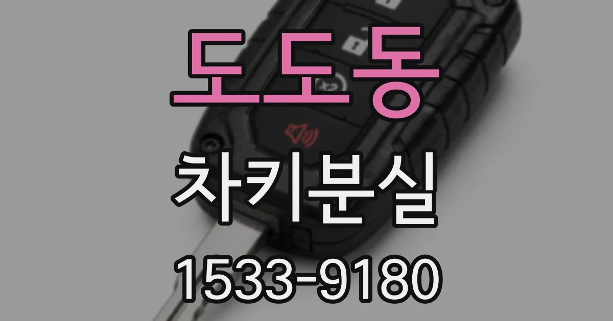 도도동 차키분실