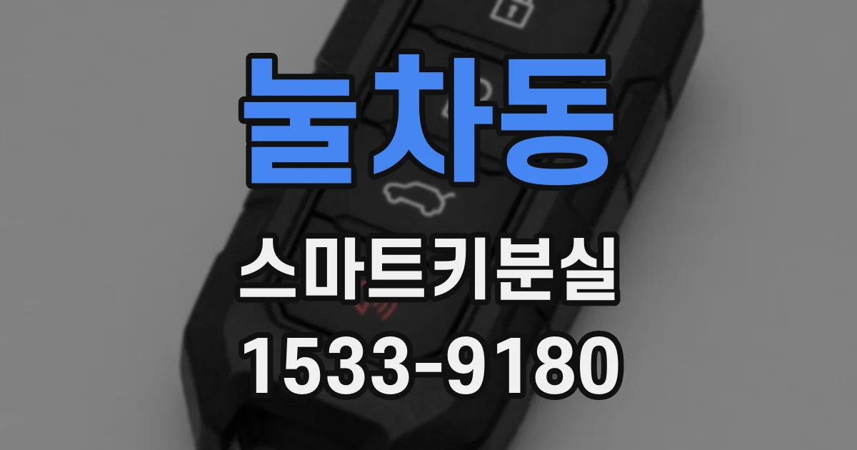 눌차동 스마트키분실