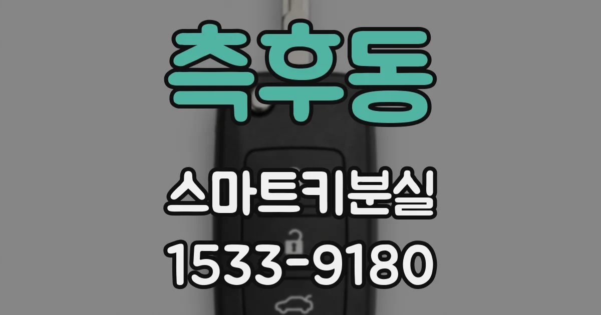 측후동 스마트키분실