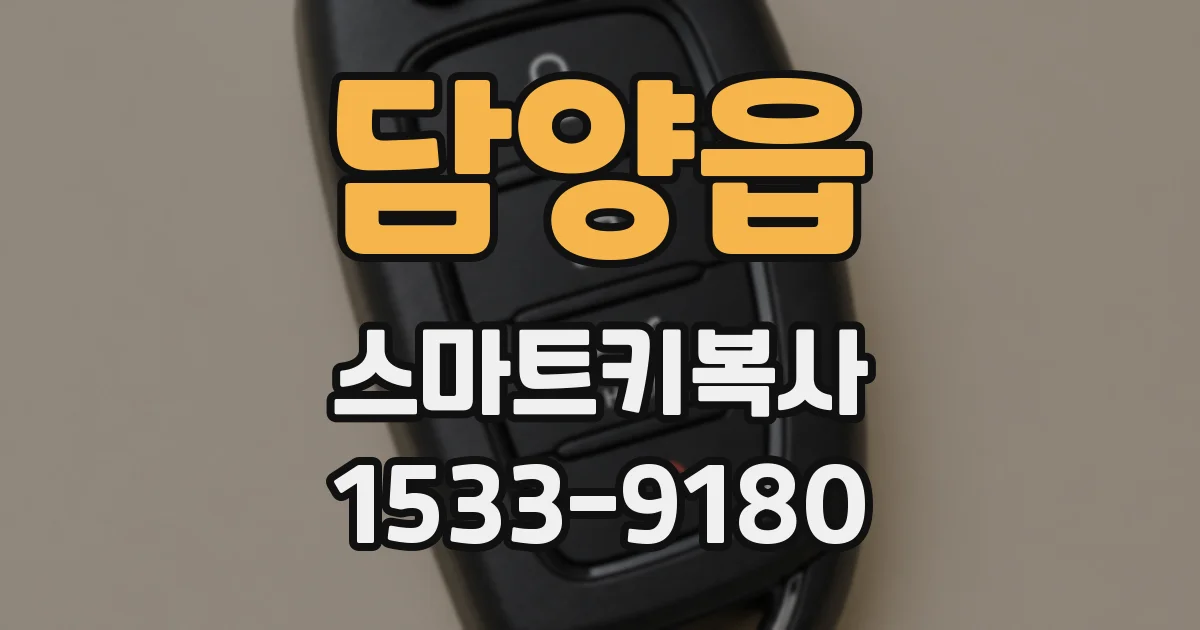 담양읍 스마트키복사