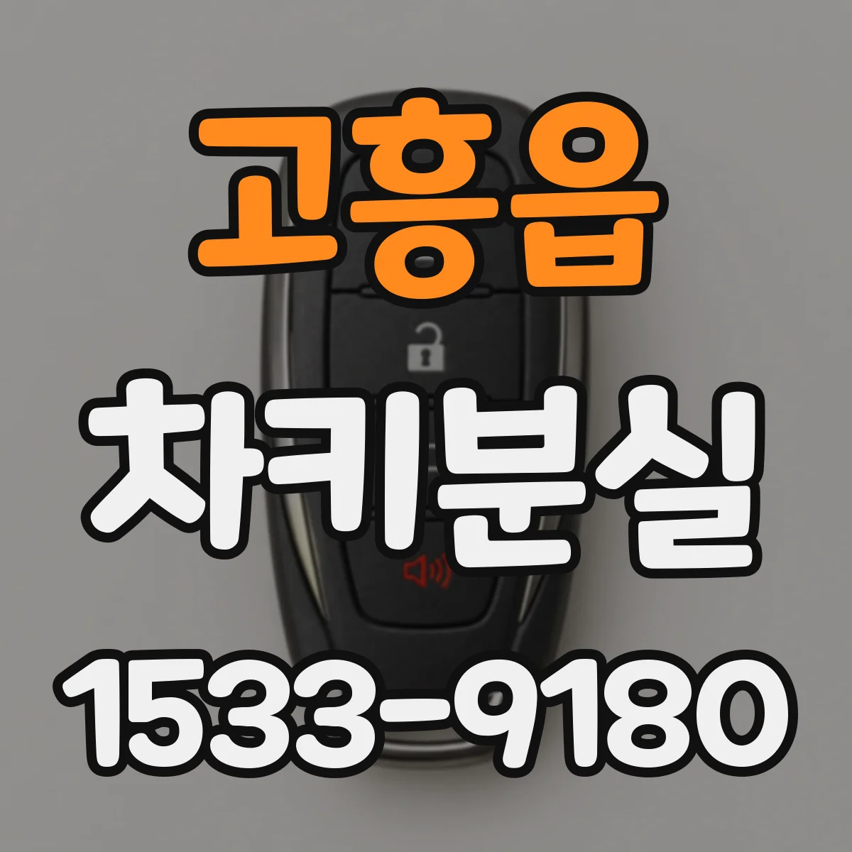 고흥읍 차키분실