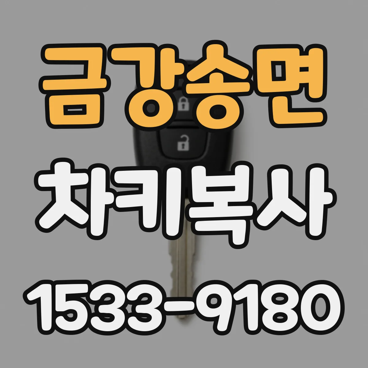 금강송면 차키복사