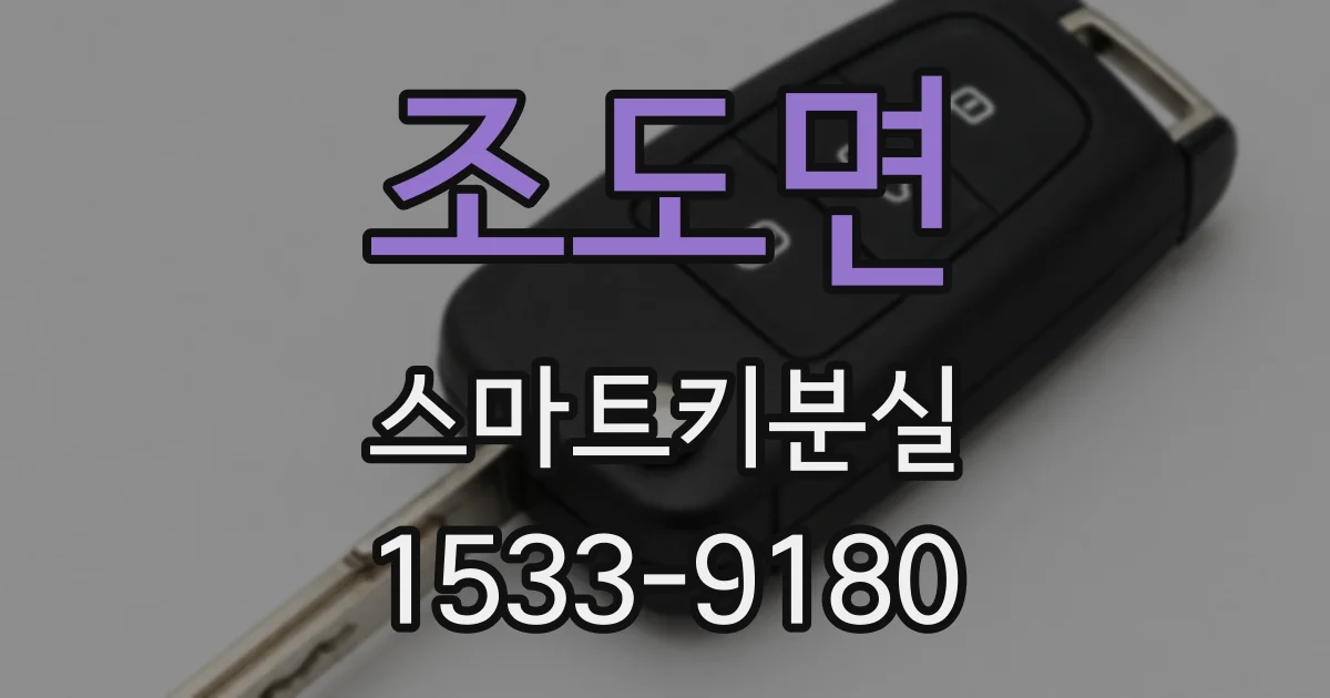 조도면 스마트키분실