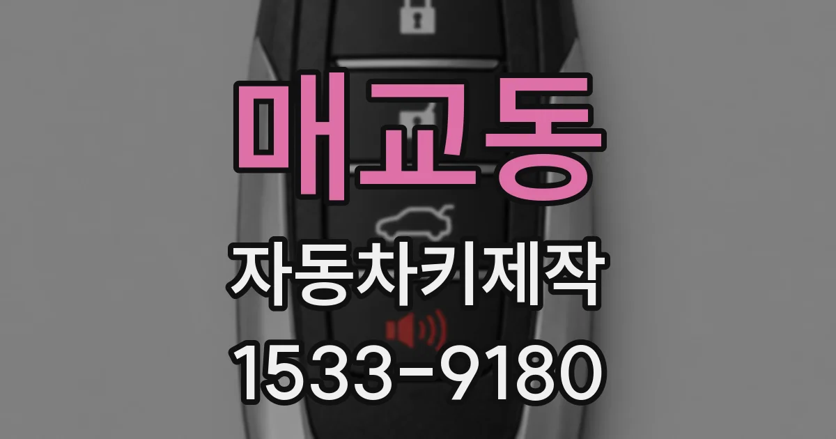 매교동 자동차키제작