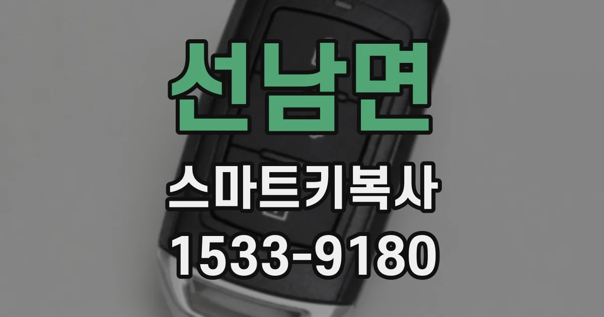 선남면 스마트키복사