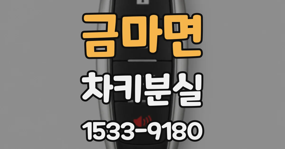 금마면 차키분실