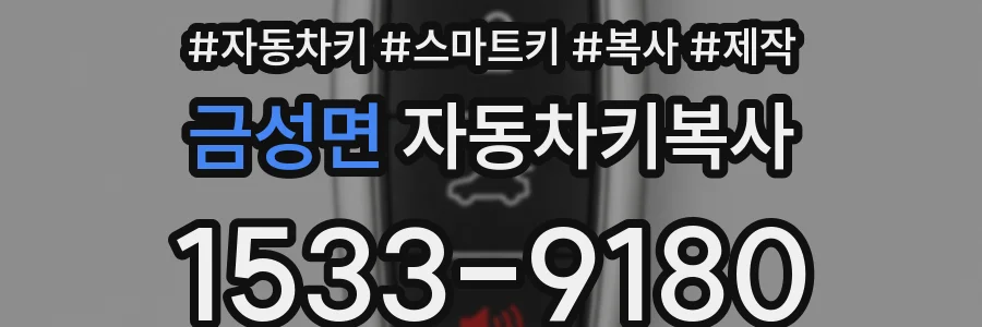 금성면 자동차키복사