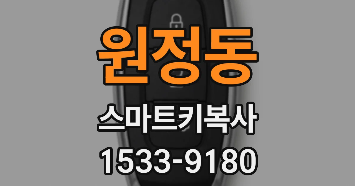 원정동 스마트키복사