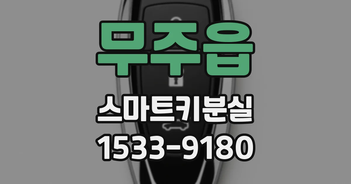무주읍 스마트키분실