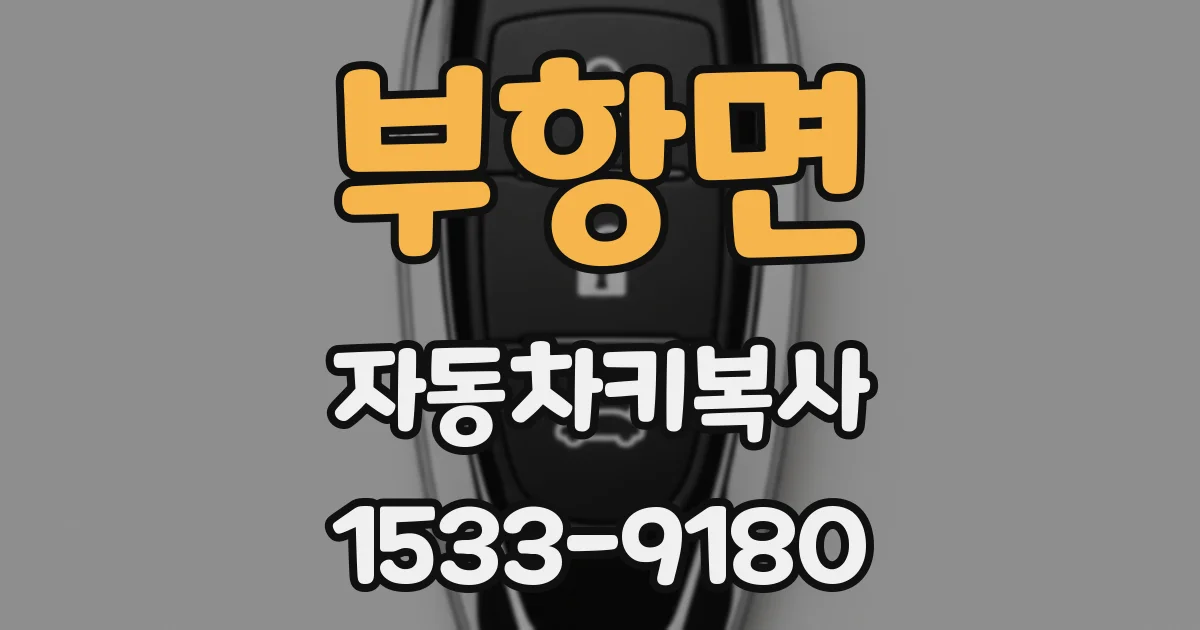 부항면 자동차키복사