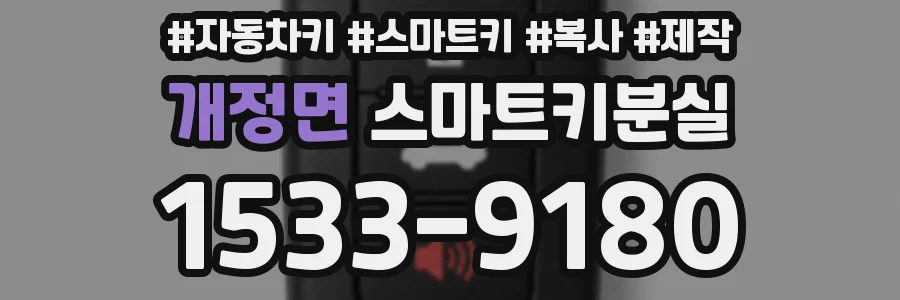 개정면 스마트키분실