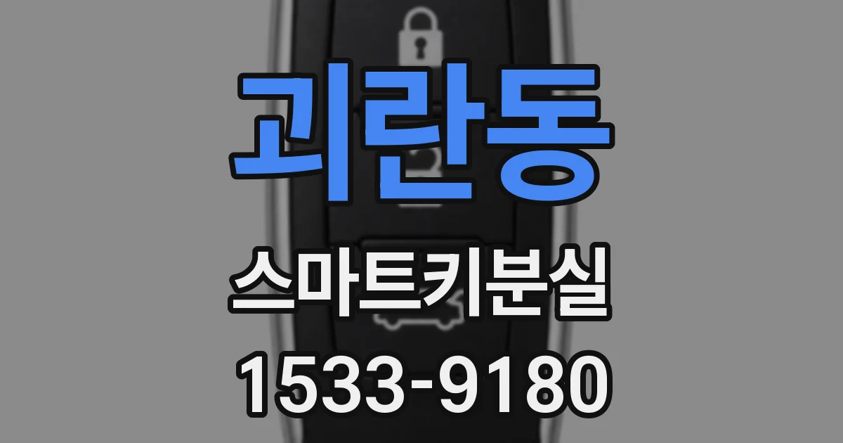 괴란동 스마트키분실