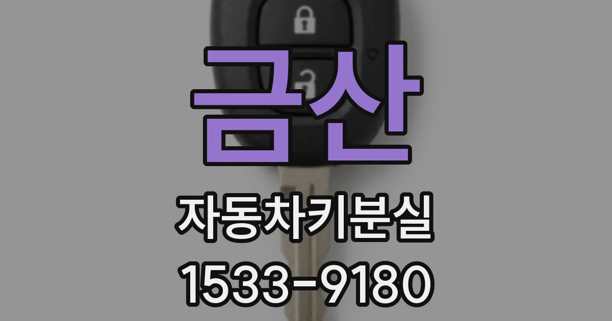 금산 자동차키분실