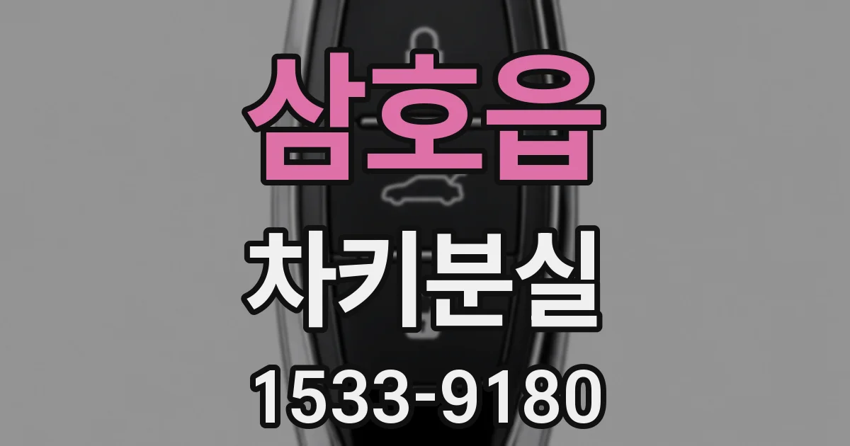 삼호읍 차키분실