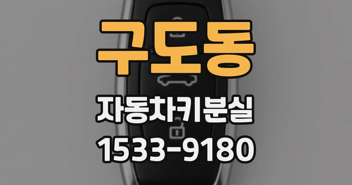 구도동 자동차키분실