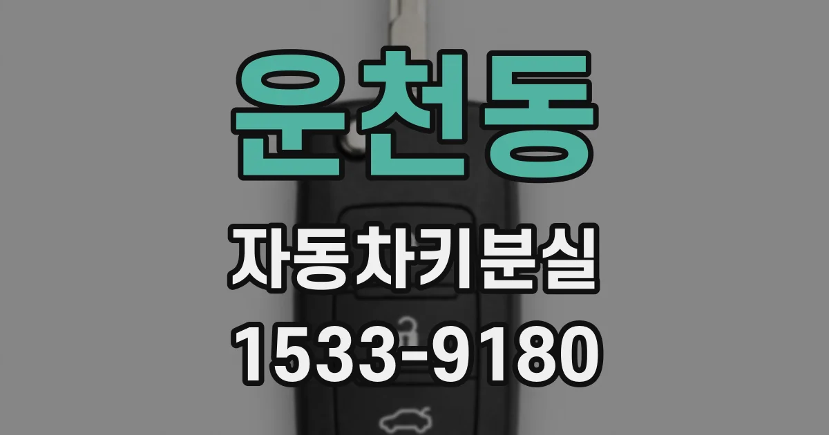 운천동 자동차키분실