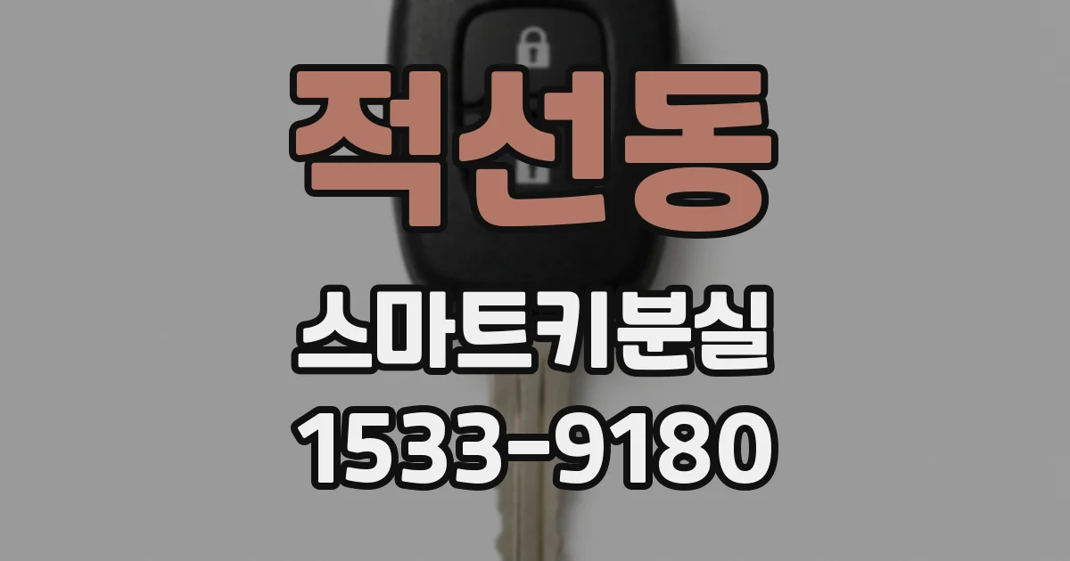 적선동 스마트키분실