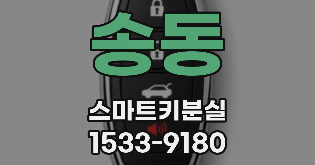 송동 스마트키분실