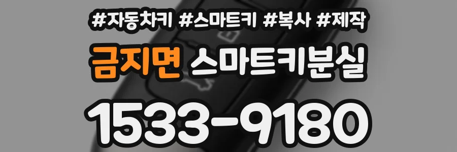 금지면 스마트키분실