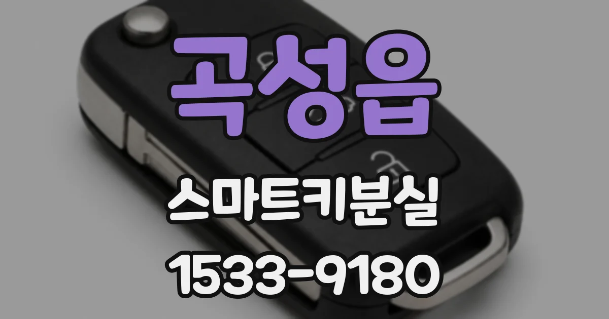 곡성읍 스마트키분실