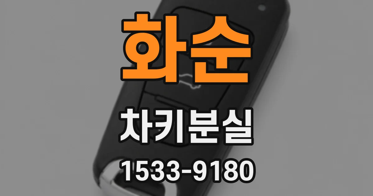 화순 차키분실