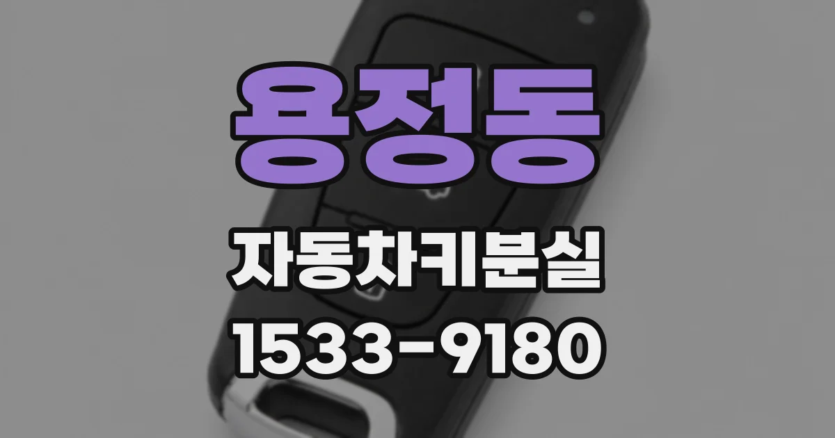 용정동 자동차키분실