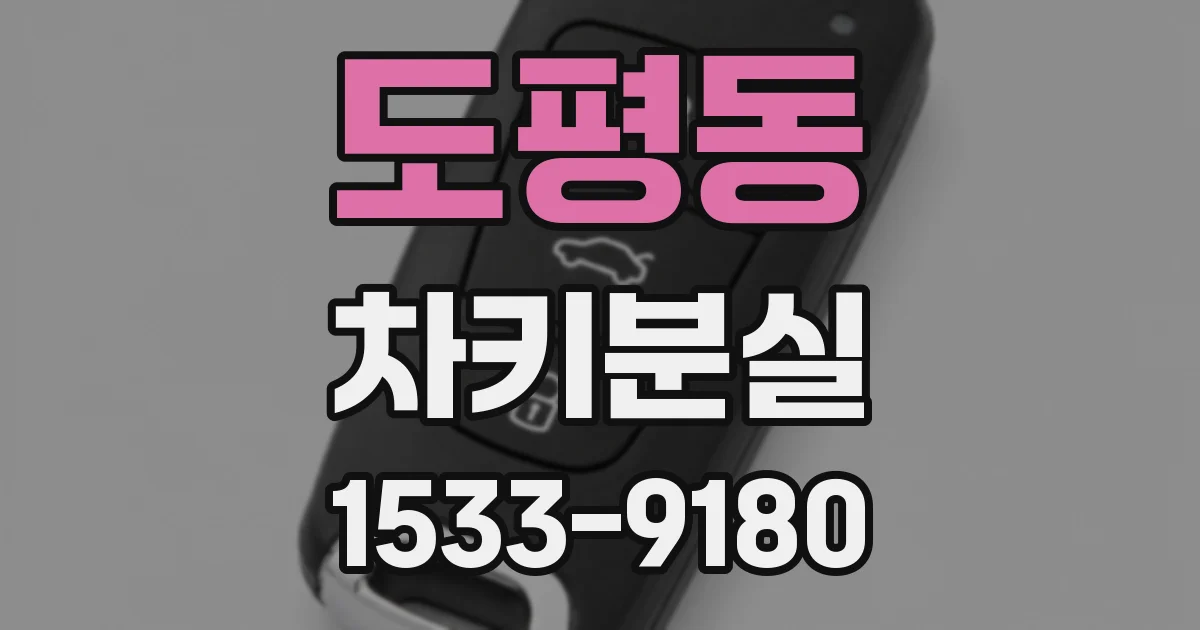 도평동 차키분실