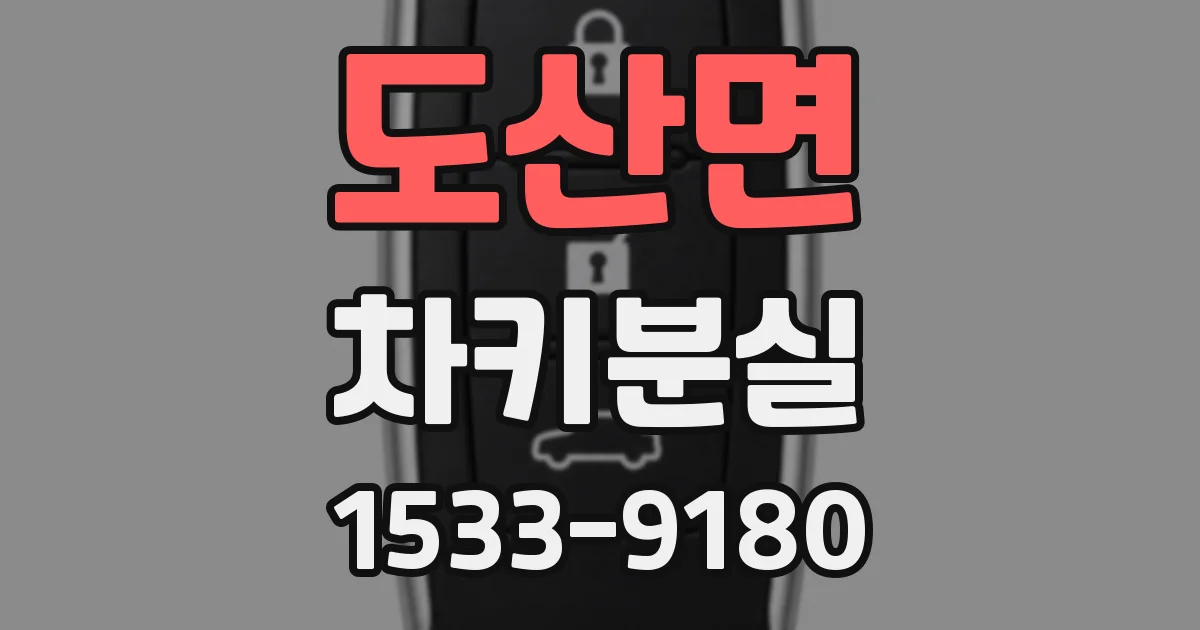 도산면 차키분실