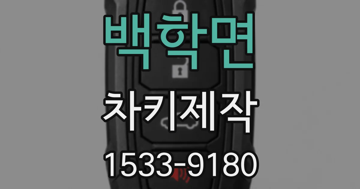 백학면 차키제작