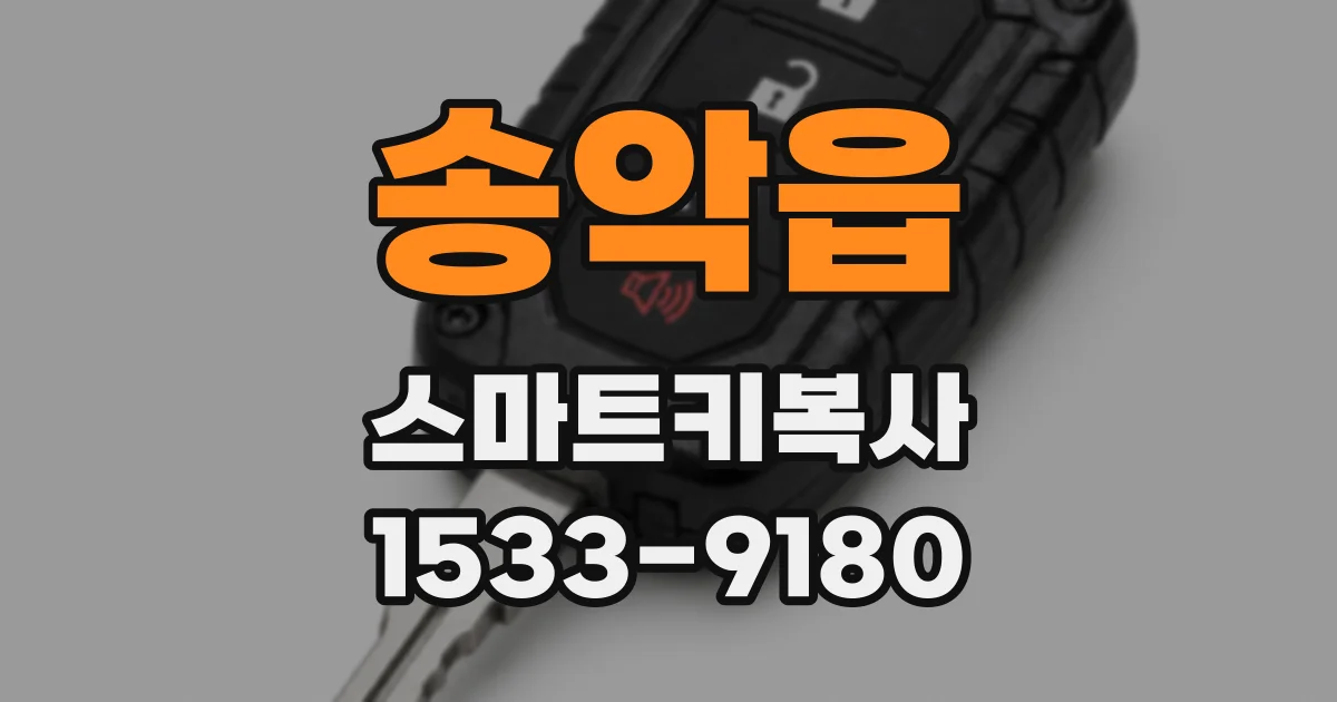 송악읍 스마트키복사