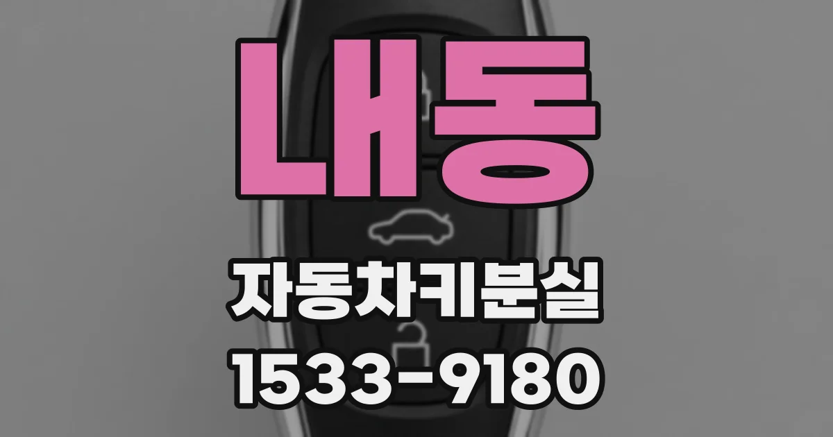 내동 자동차키분실