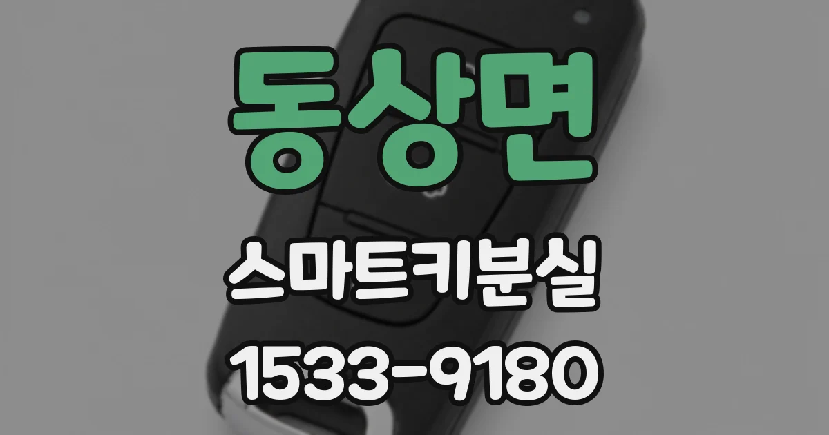 동상면 스마트키분실