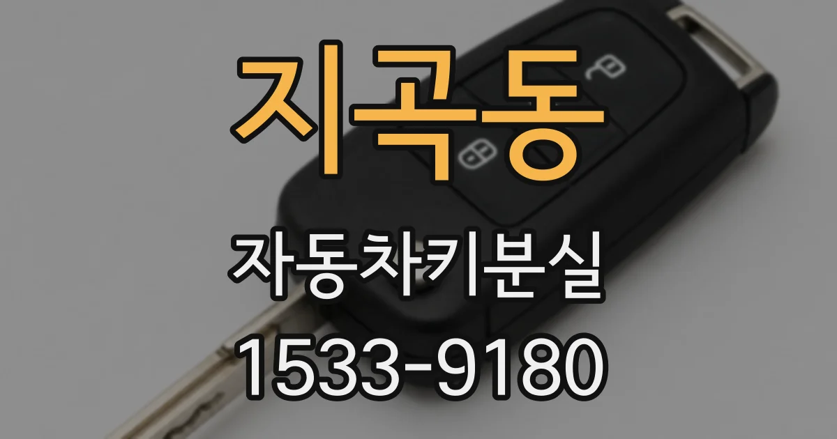 지곡동 자동차키분실