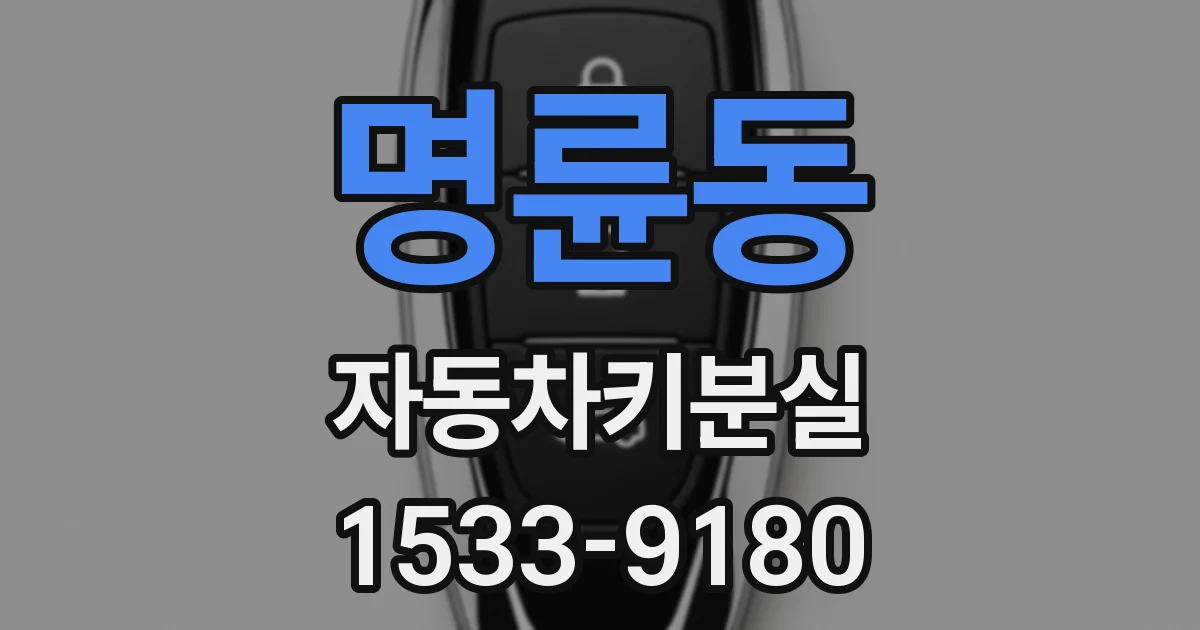명륜동 자동차키분실