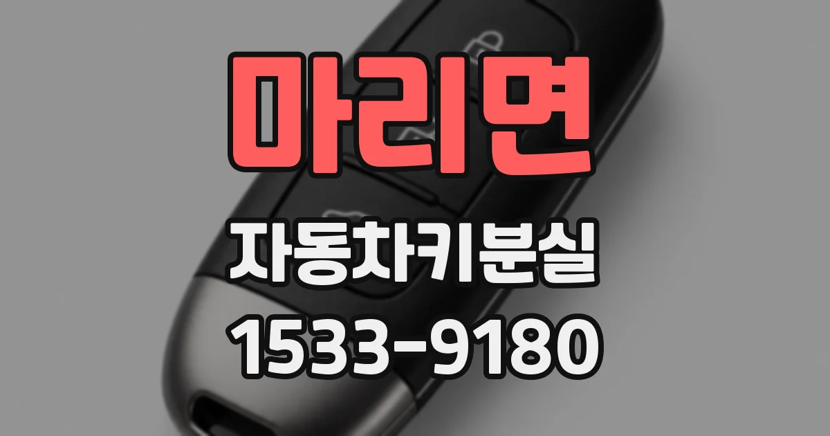 마리면 자동차키분실