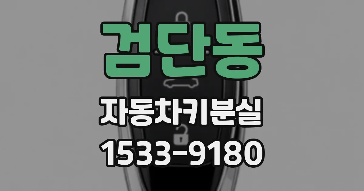 검단동 자동차키분실