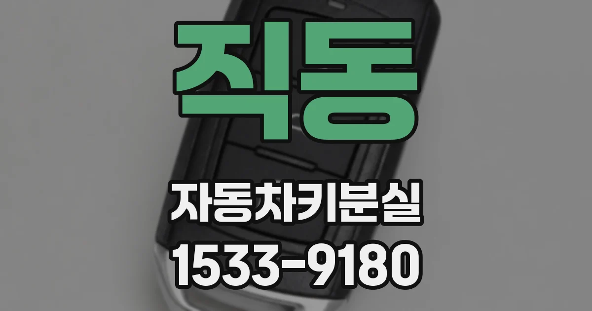 직동 자동차키분실